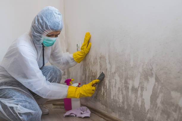 Best Airborne Mold Testing  in Buchanan, MI