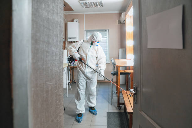 Best Environmental Consulting for Mold Prevention  in Buchanan, MI