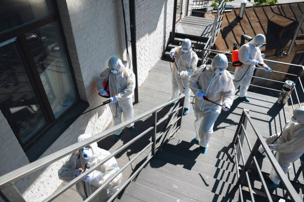 Best Biohazard Mold Removal  in Buchanan, MI