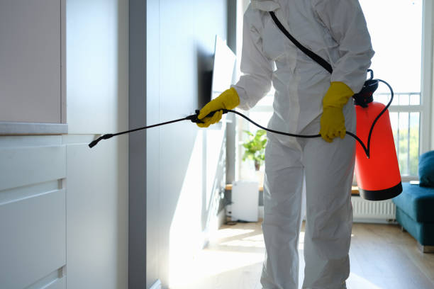 Forensic Mold Investigation in Buchanan, MI