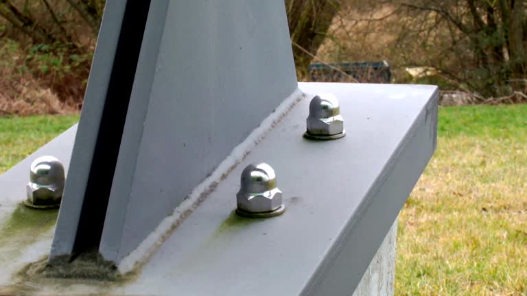 Best Forensic Mold Investigation  in Buchanan, MI